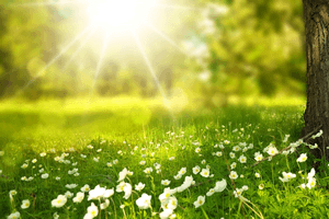 本当の自分に還る〜もっと活き活きと充実した毎日の為に〜